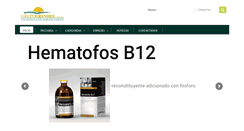 Desktop Screenshot of grupograndescolombia.com